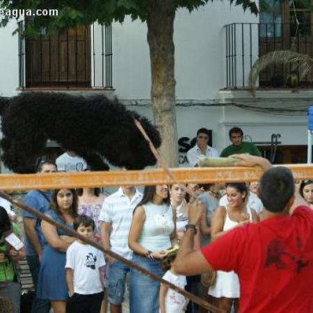 Ver imagen más grande