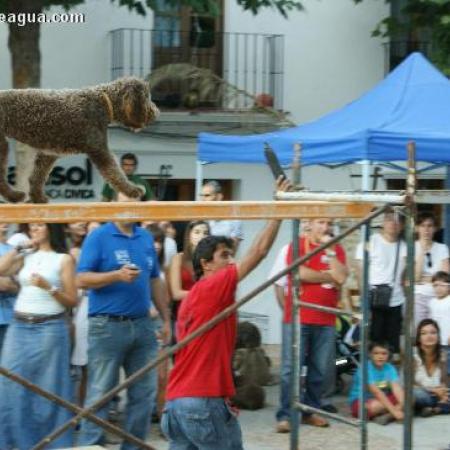 Ver imagen más grande