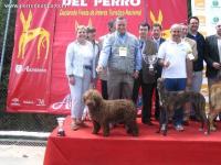 Feria del Perro de Archidona, final razas españolas 2007